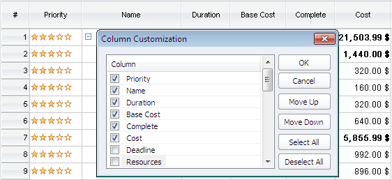 Column customization in ConceptDraw PROJECT 