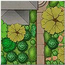 Landscape Design Software for Mac & PC | Garden Design Software 