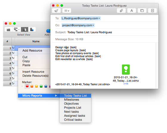 Using Micro Reports