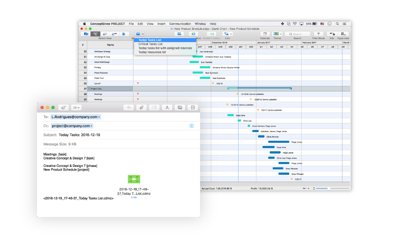 project reports