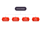Block Diagram – Branding Strategies
