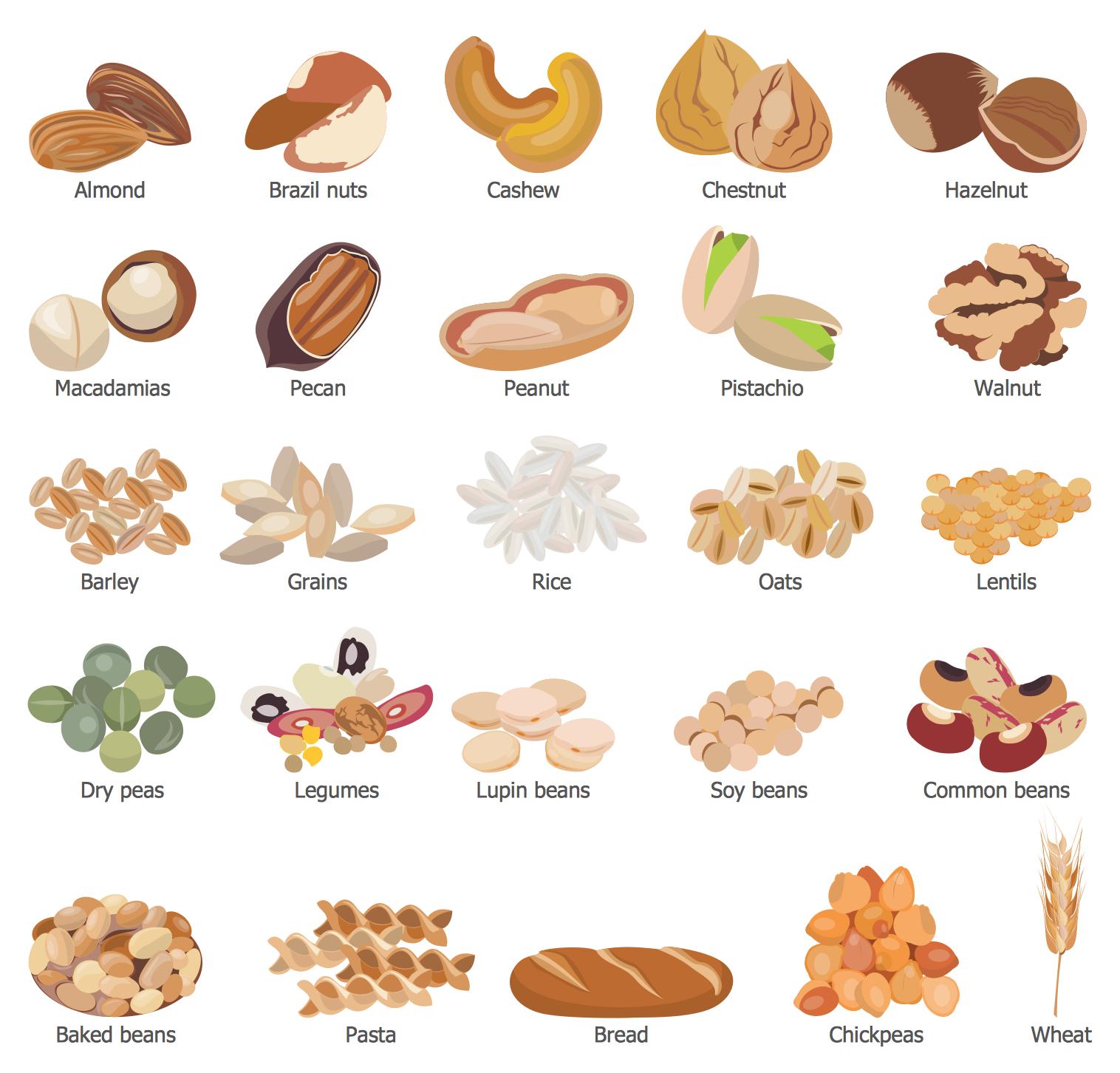 Health Food — Grains, Beans, Legumes, Nuts