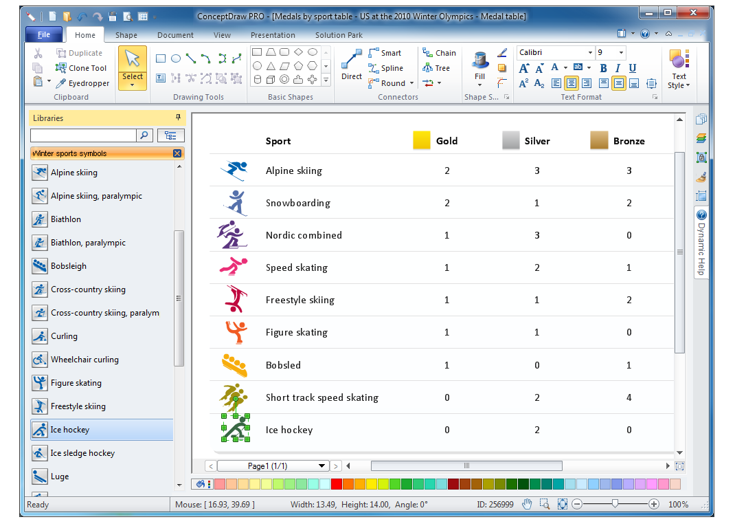 Winter Sports Solution