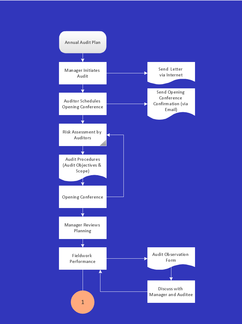 Audit process flowchart