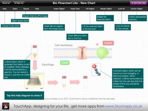 bio flowchart lite