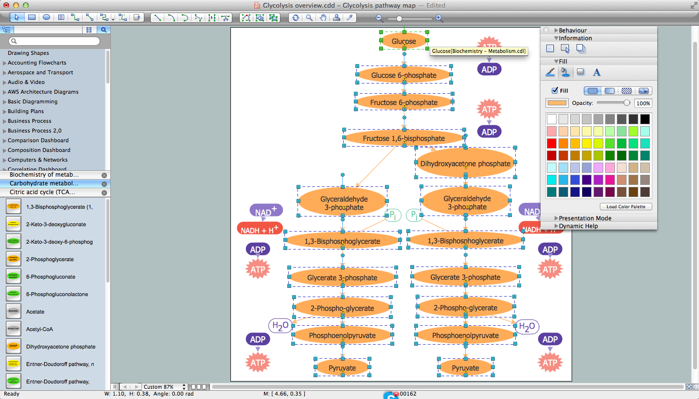 Biology Drawing Software