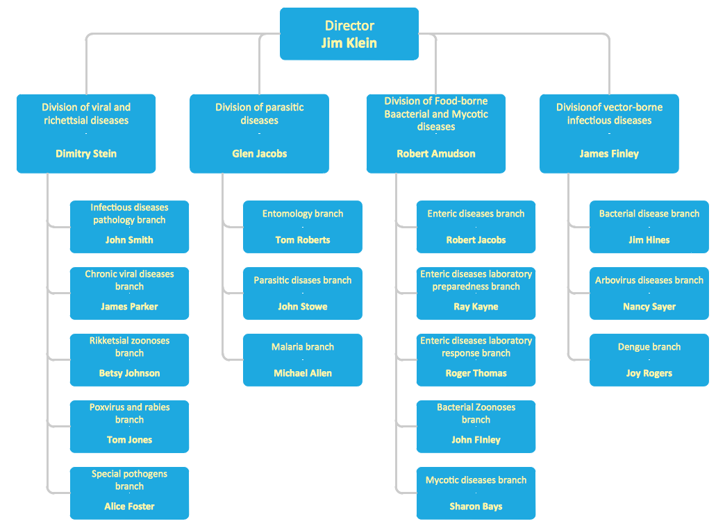 Company Organizatinal Chart examples