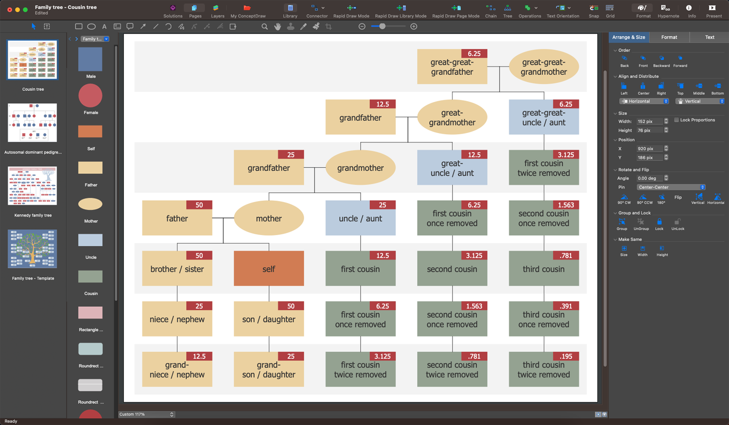 Family Tree Chart Creator - ConceptDraw DIAGRAM Software