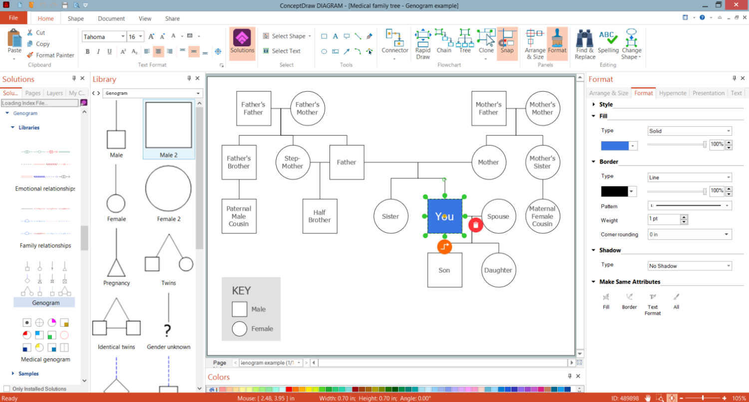 Family Genogram Example in ConceptDraw DIAGRAM Software
