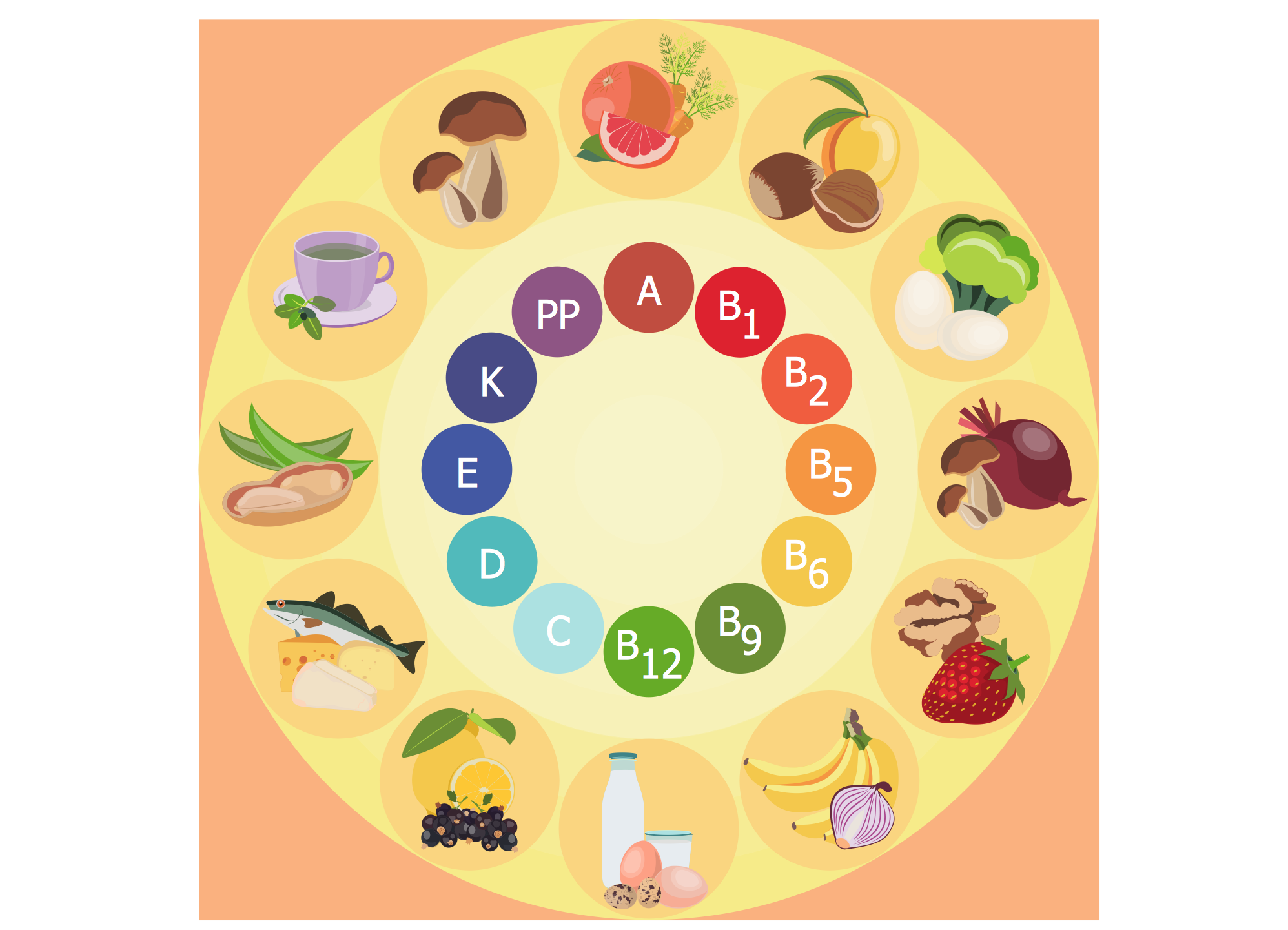 Healthy eating tips. Infographic chart of food balance with proper  nutrition proportions. Plan your meal. Healthy balanced food and dieting  concept. Stock Vector