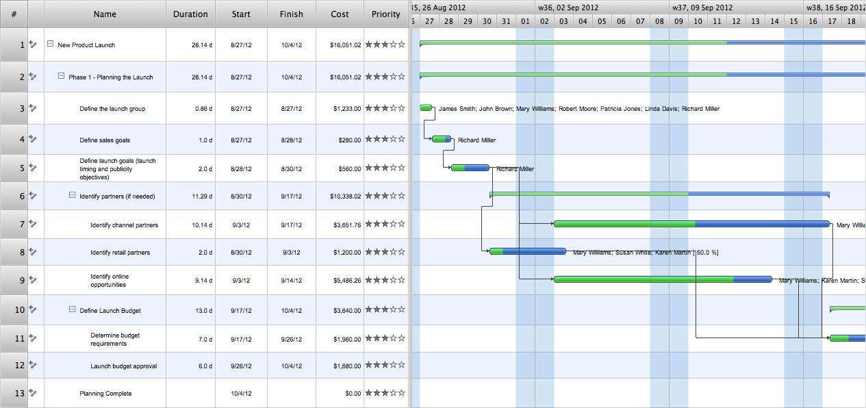 Project Management Software. Gant Chart - New Product Launch