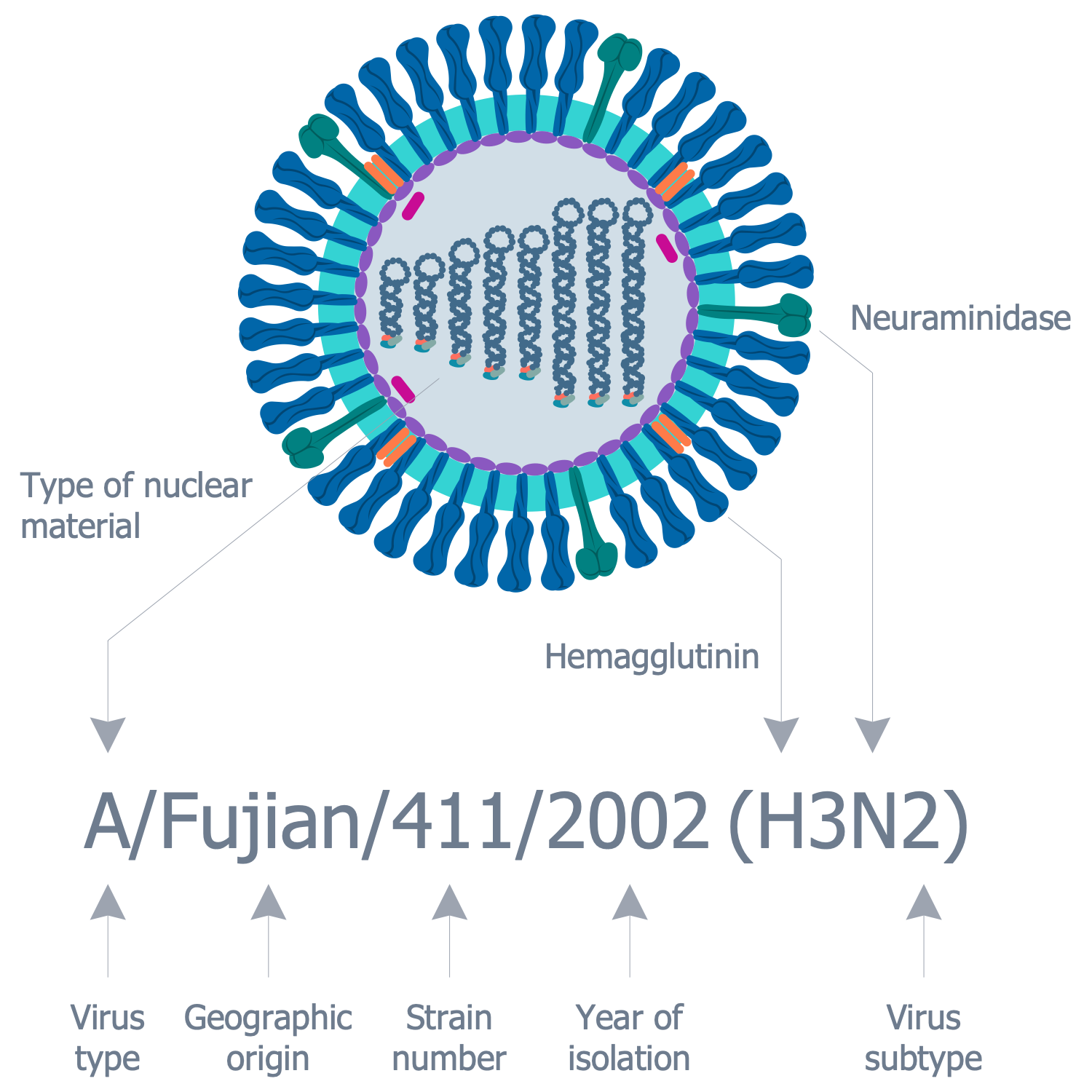 Immunization Infographics Design in ConceptDraw DIAGRAM