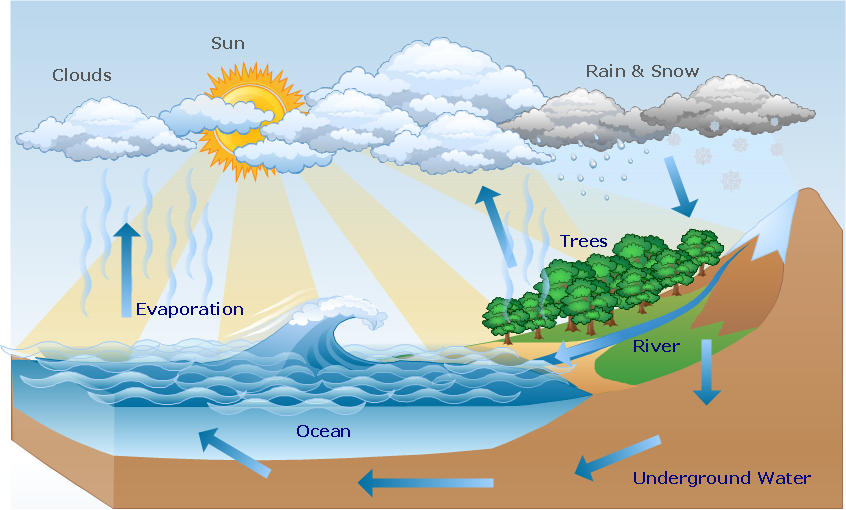 Printable Water Cycle Diagram | Water cycle, Water cycle worksheet, Water  cycle diagram