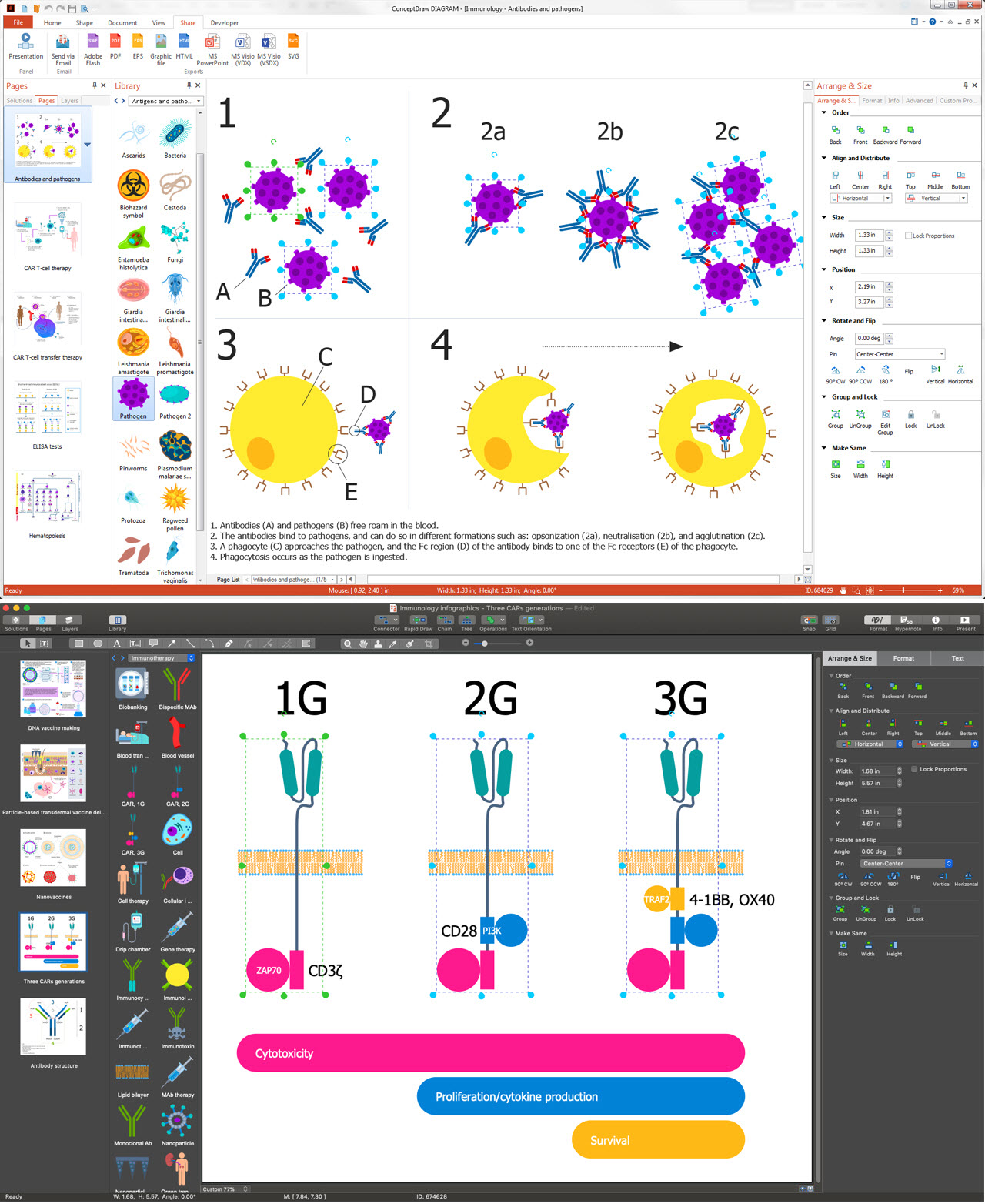 Immunology Visualizations in ConceptDraw DIAGRAM Mac & Win