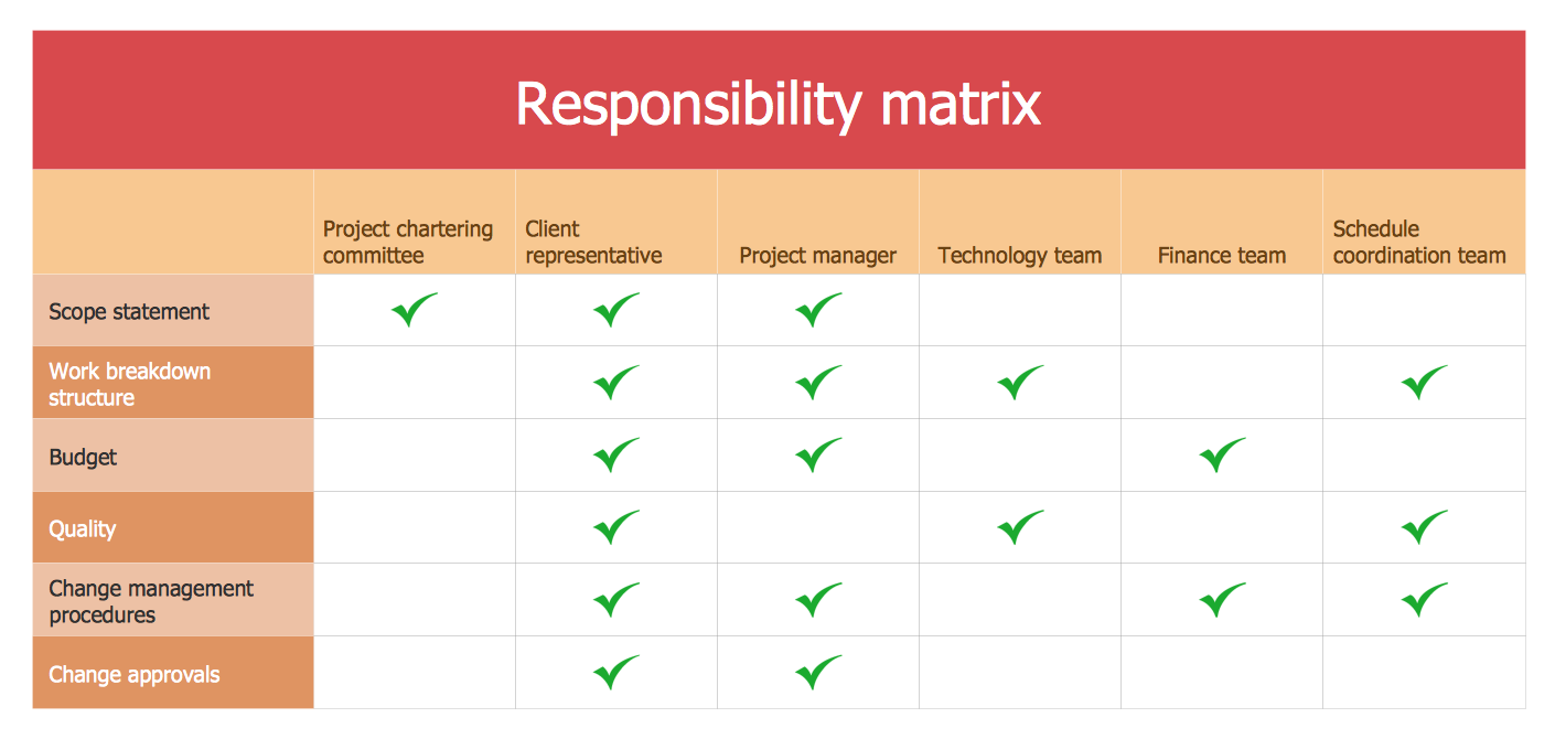 responsibility assignment matrix roles