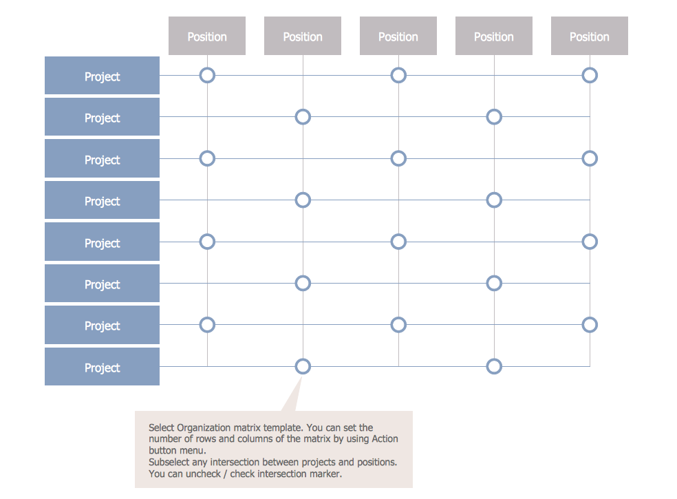 Matrix Organization Structure