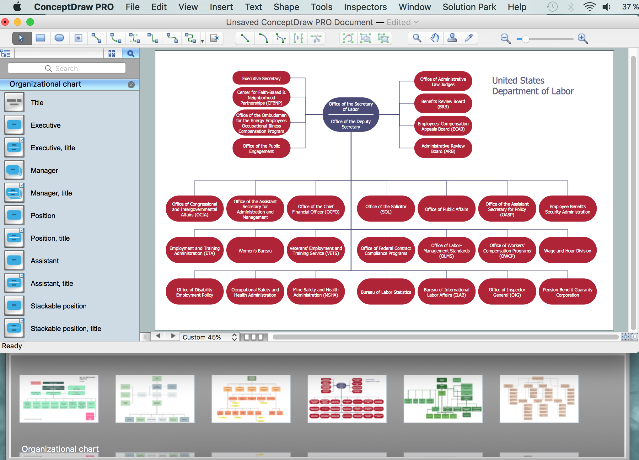 Organizational Structure Flow Chart Template