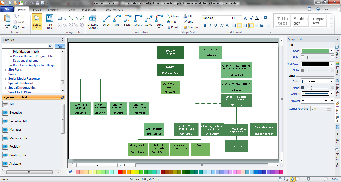 The organizational structure after the implementation of Vizum