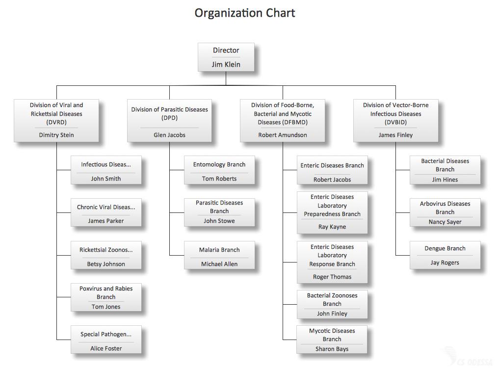 Network Organizational Chart