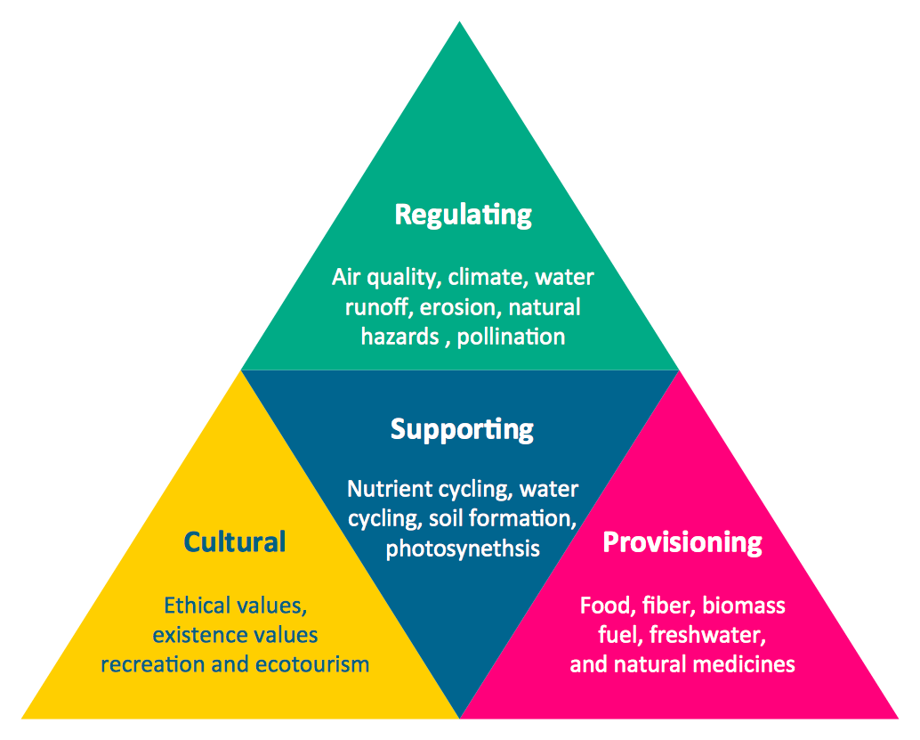 Pyramid Chart Examples *