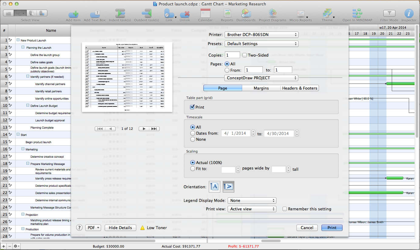 Advanced printing in ConceptDraw PROJECT *