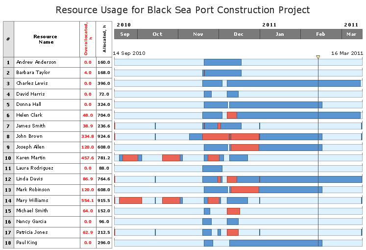 Project Management Software. Resource Usage