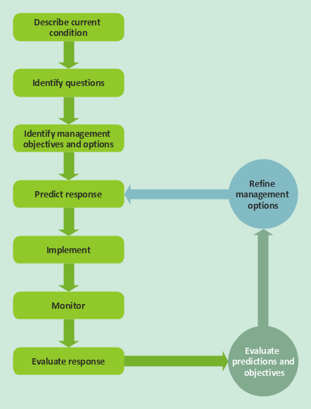 Total Quality Management *