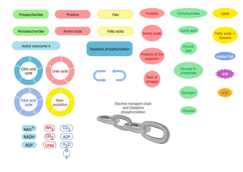 Biology Symbols *