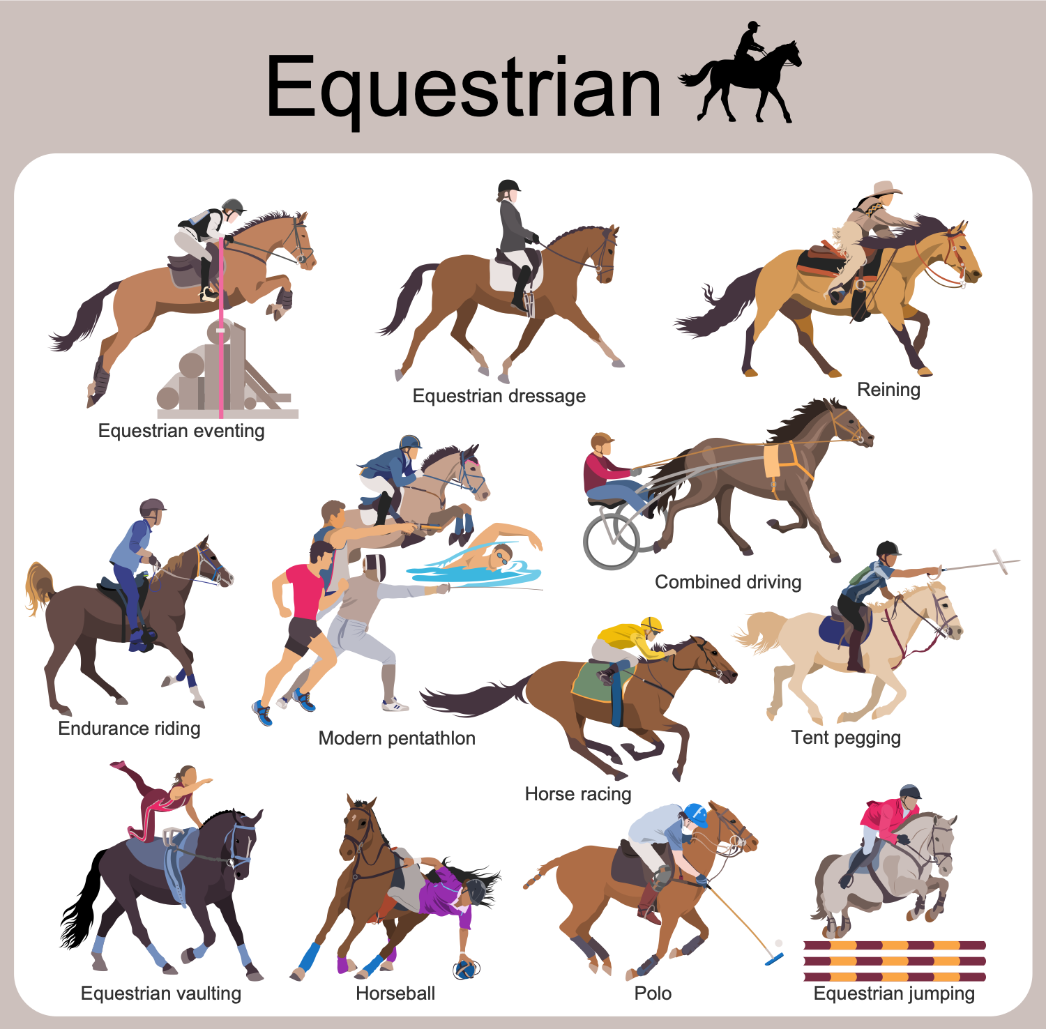 Equestrian Vector Infographics Design