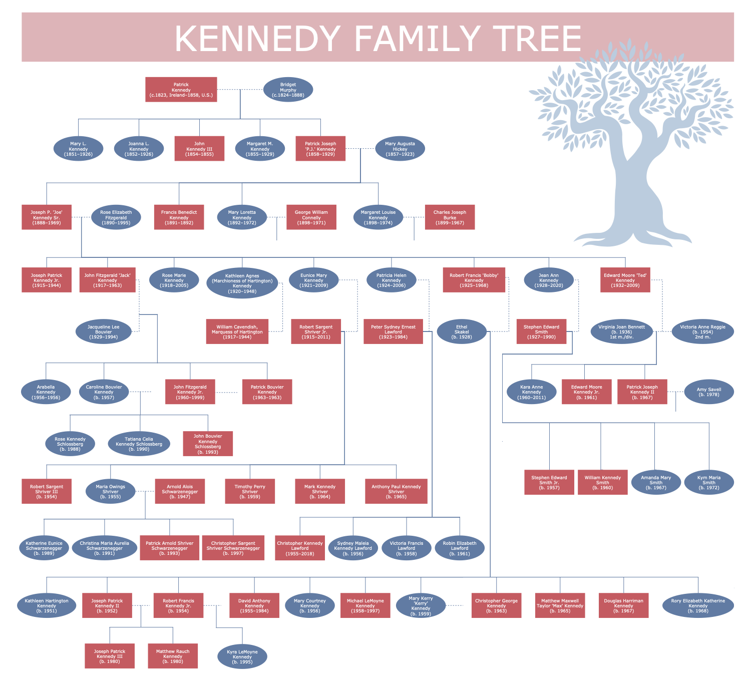Kennedy Family Tree