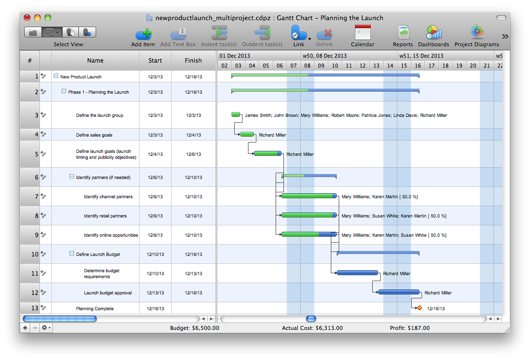 ConceptDraw Project Gantt chart example
