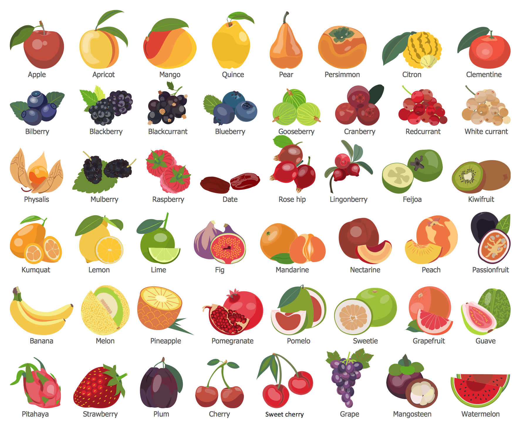 Fruits and Berries