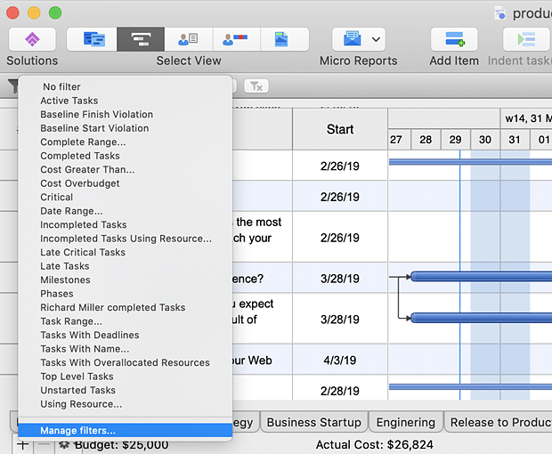 conceptdraw-project-manage-filters