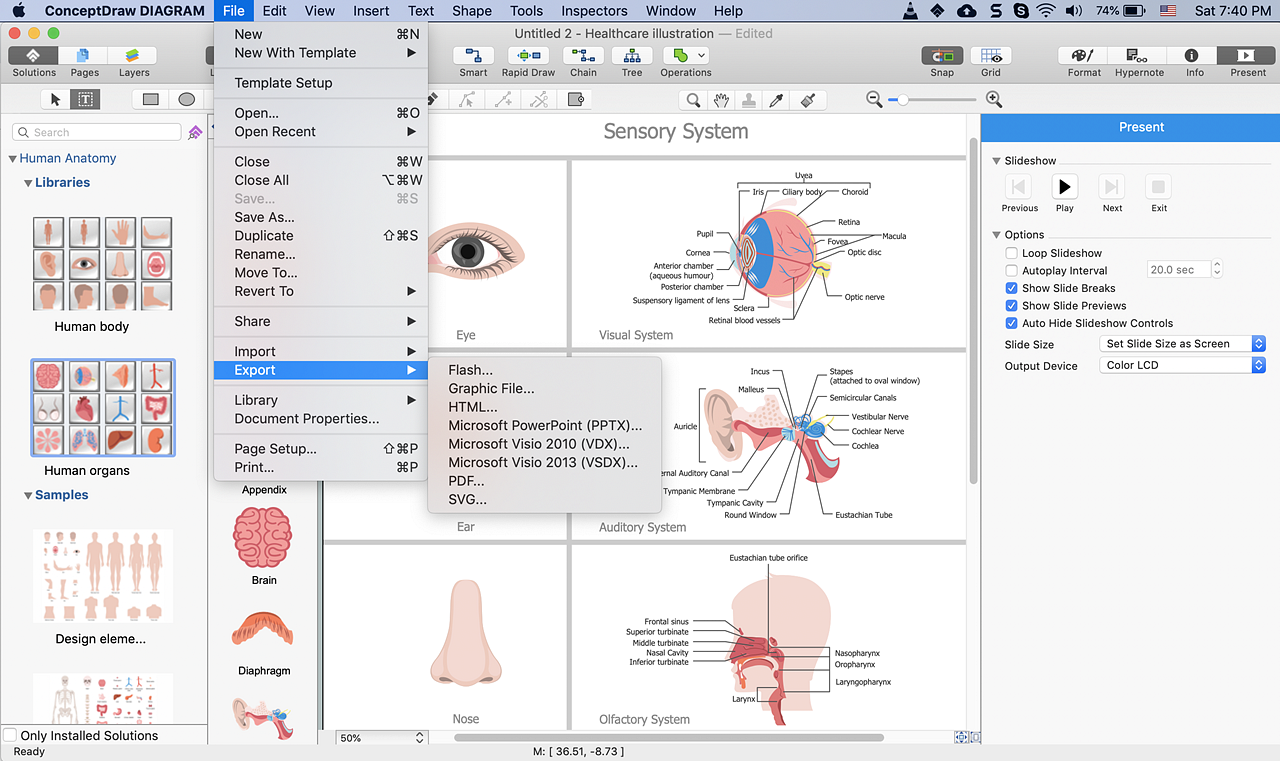 medical-illustration