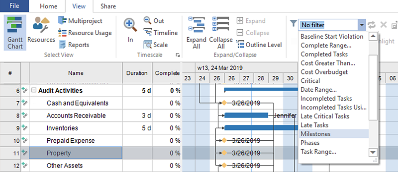 embedded-filters-in-project-on-windows