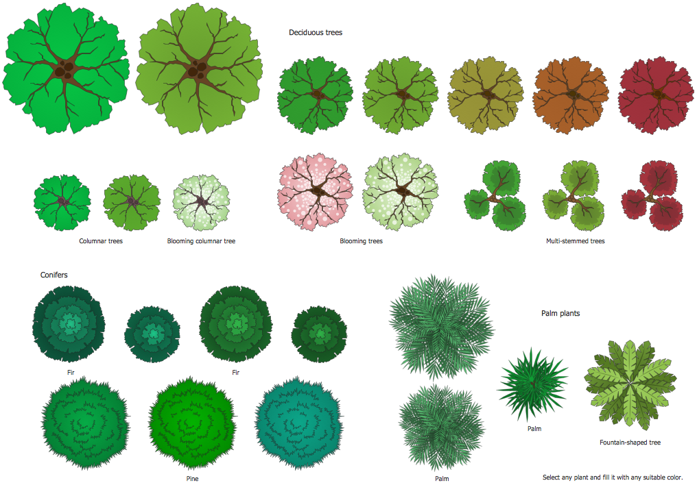 Landscape Design Software | Draw Landscape, Deck and Patio Plans with