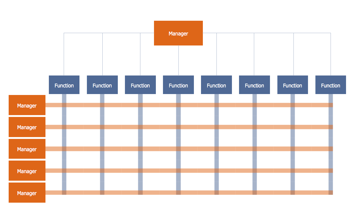 Matrix Organization Structure Template