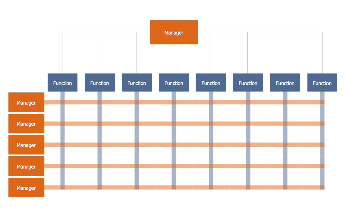 Matrix Structure Organizational Chart