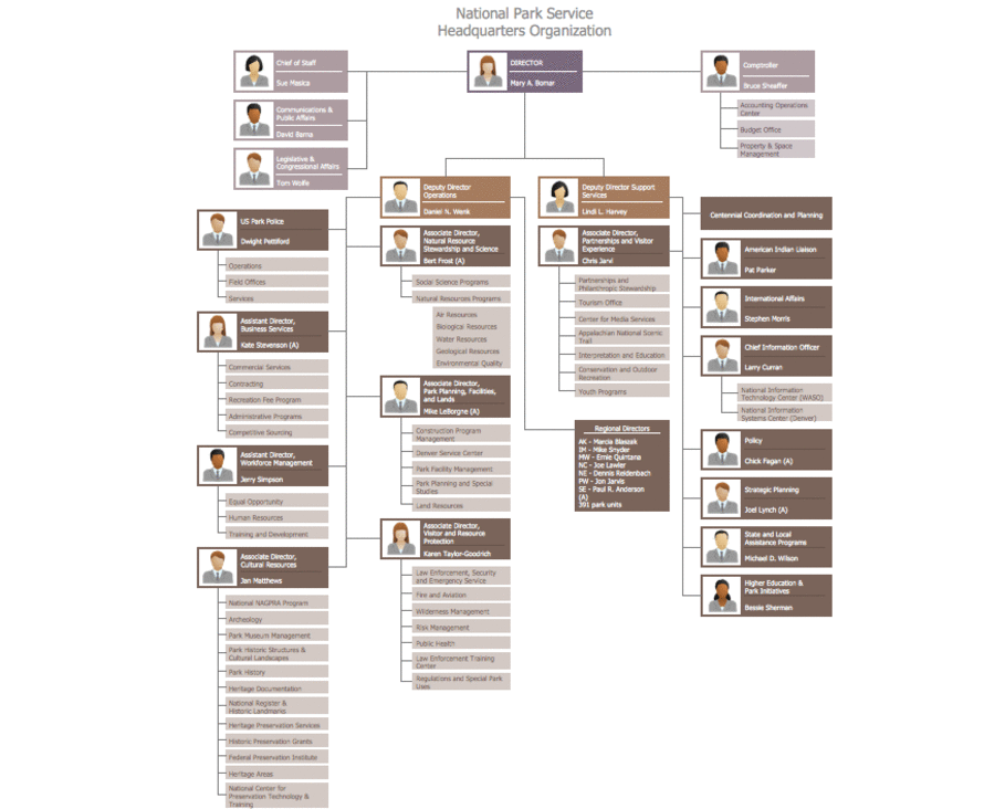 Matrix Organization Structure