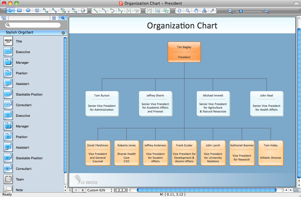 Organizational Chart Structure Types