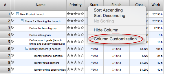 What information to be displayed in the outline of project Gantt Chart