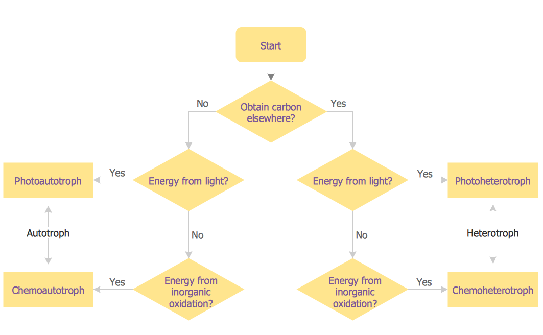 Energy Flow Chart Examples