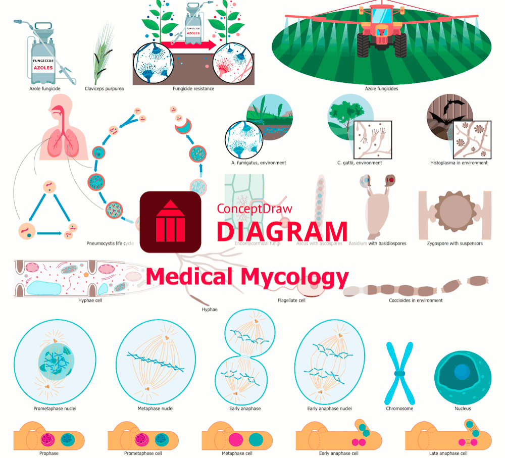 Medical mycology solution