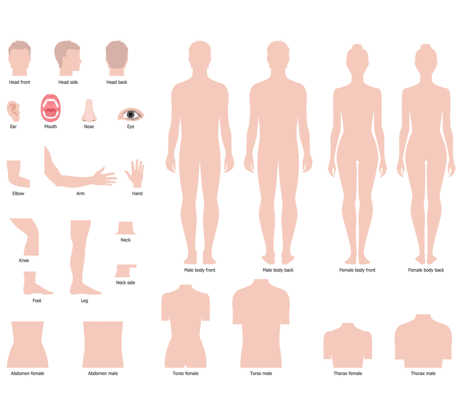 health-human-anatomy-diagram