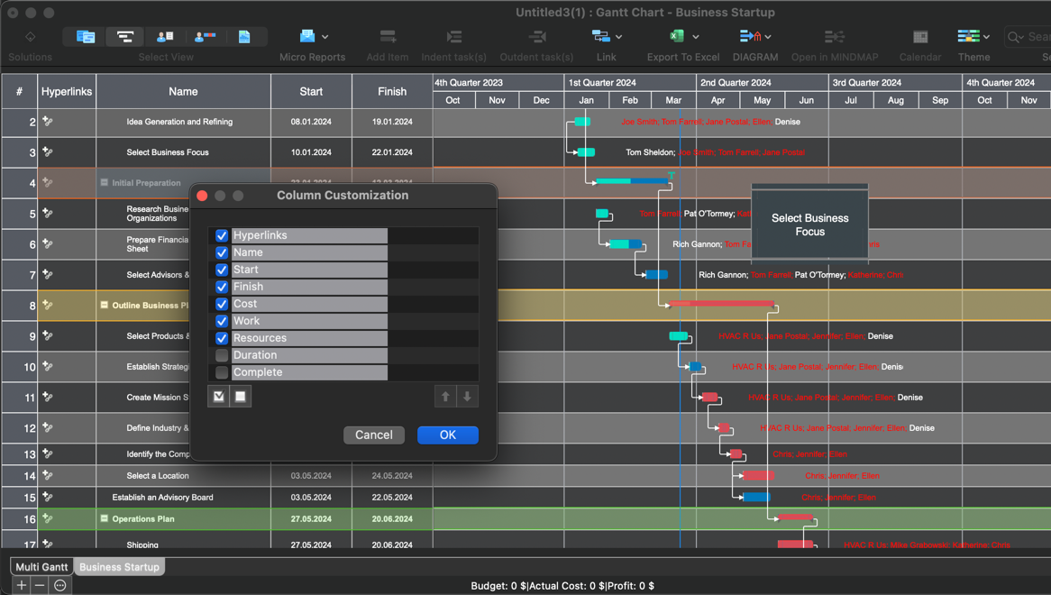 Gantt Chart Customization