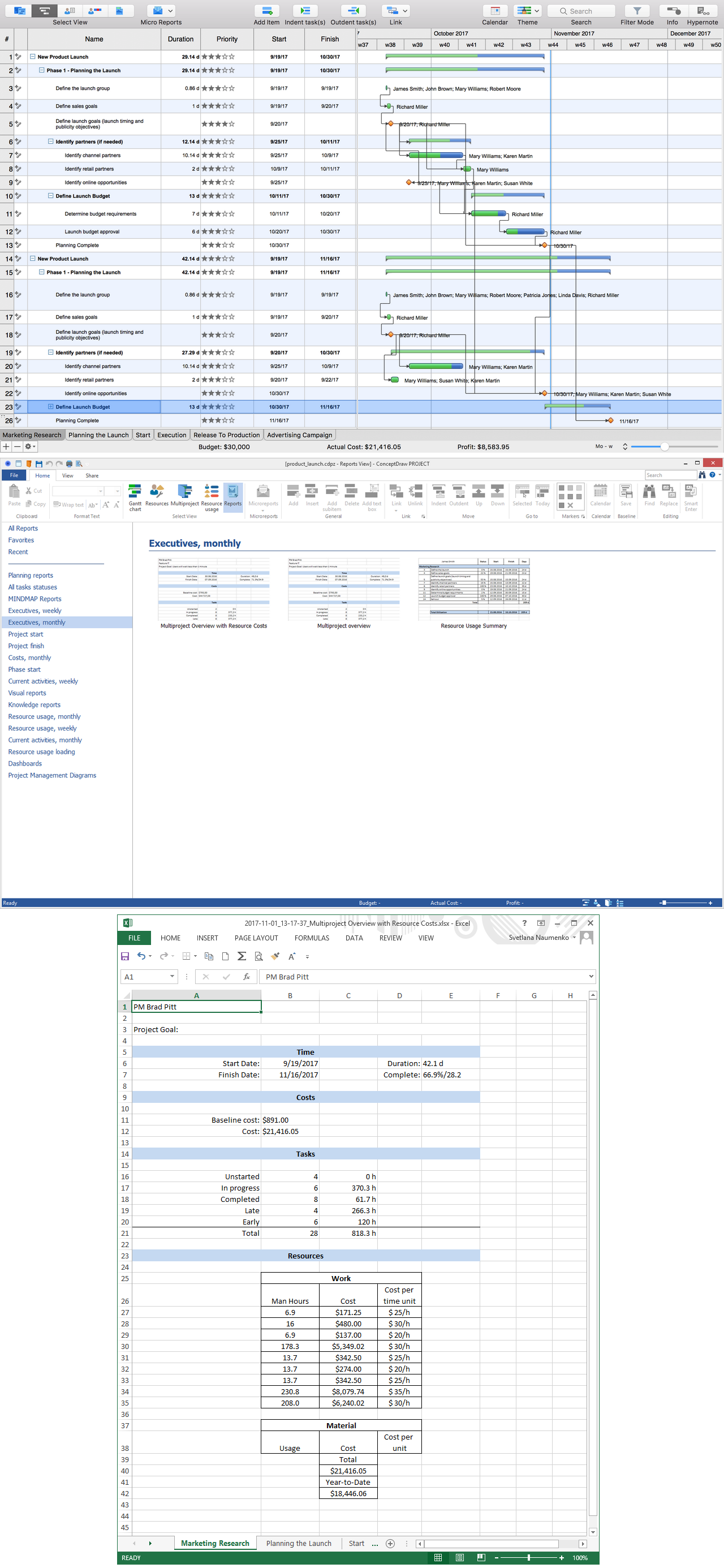 Project Reports — Executives, Monthly