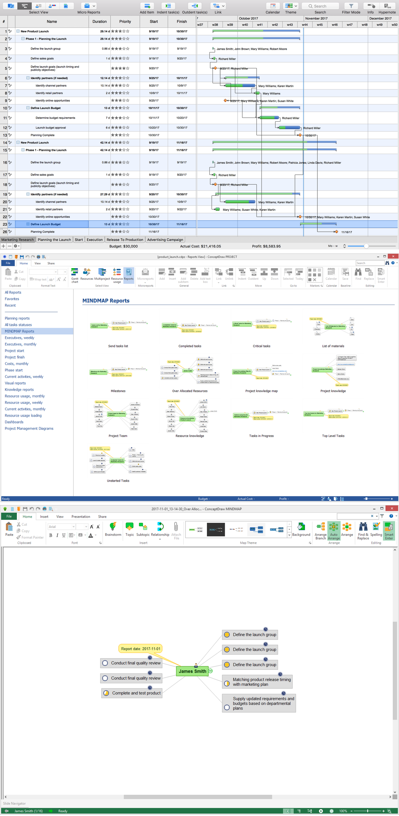 Project Reports — MINDMAP Reports