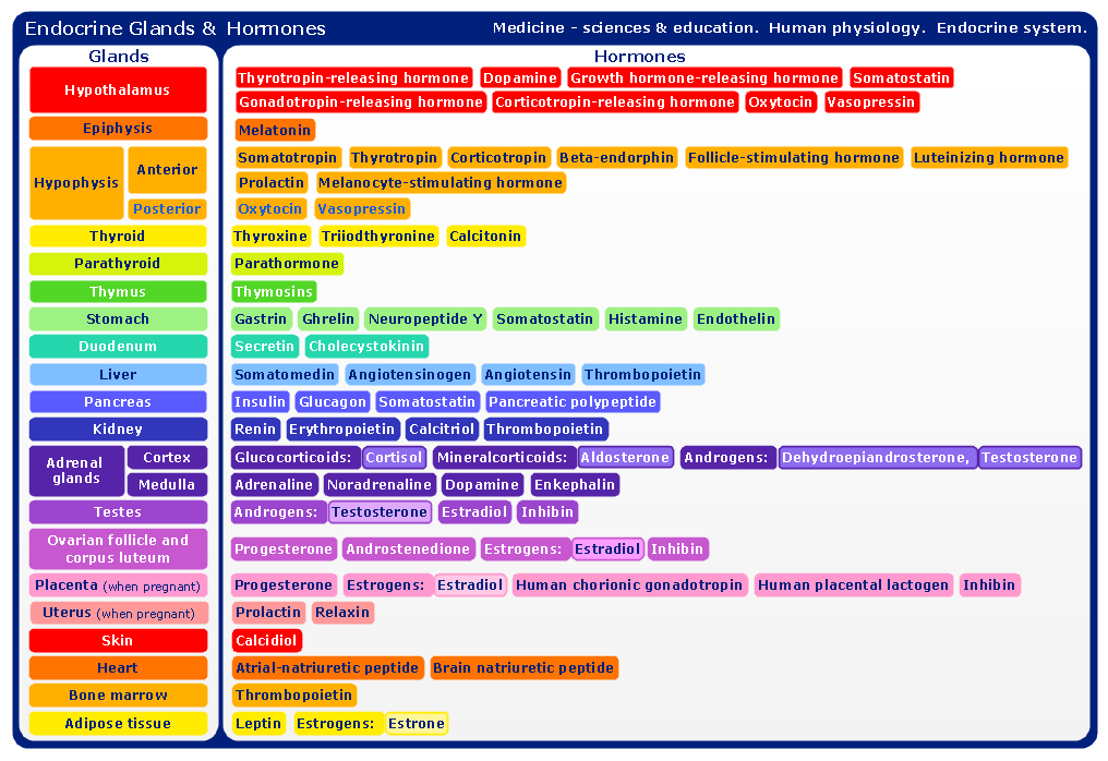 ConceptDraw Samples | Science and education — Medicine