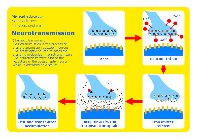 Conceptdraw Samples Science And Education — Medicine