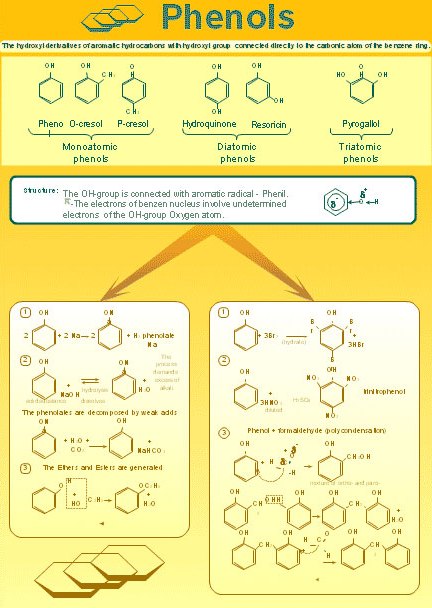Organic Chemistry Knowledge Posters Organic Chemistry Poster Canvas Types Chemical Binding Fomulas Terms Organic Reactions Quantum Mechanical Model Canvas Wall Art Teaching
